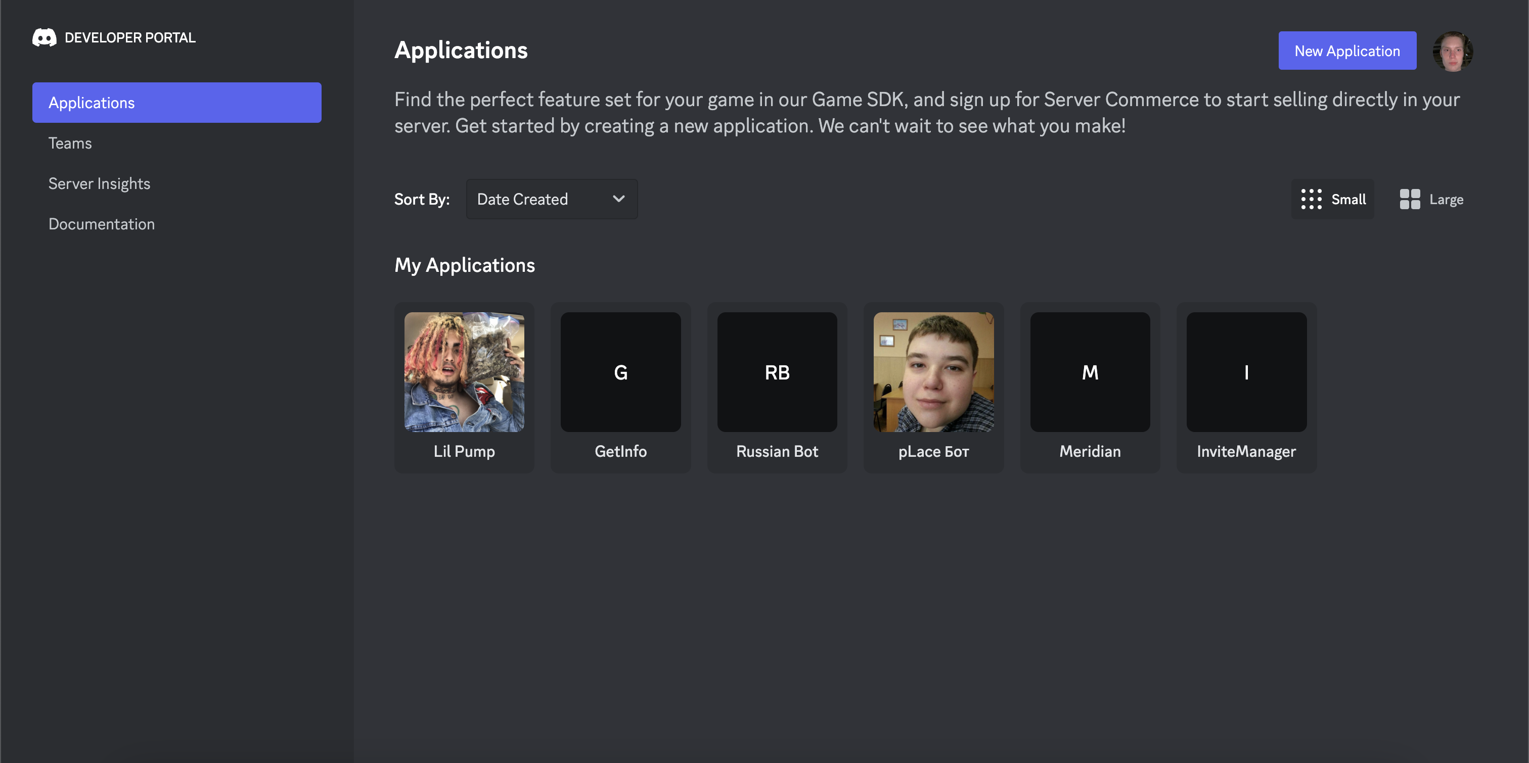 discord developer page image